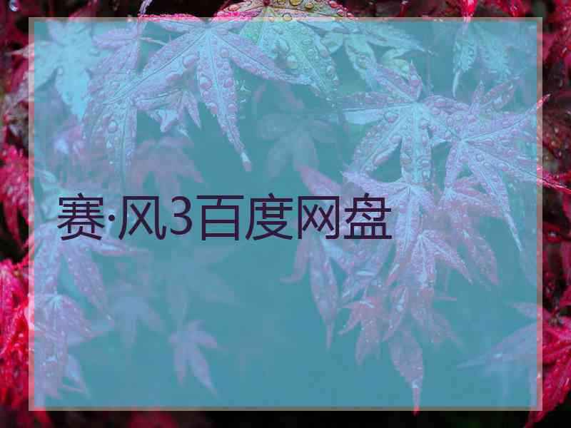 赛·风3百度网盘