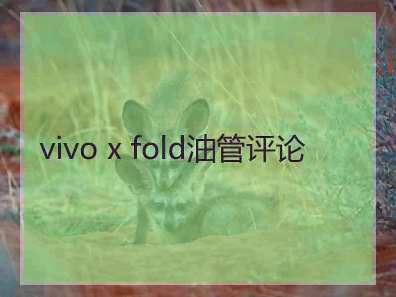 vivo x fold油管评论