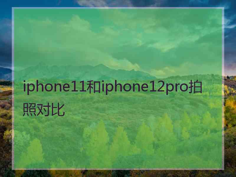 iphone11和iphone12pro拍照对比