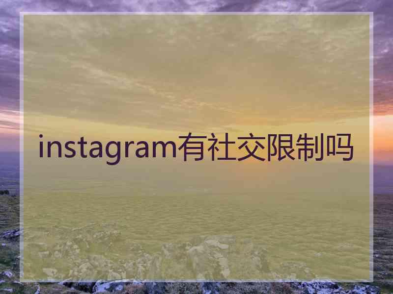 instagram有社交限制吗