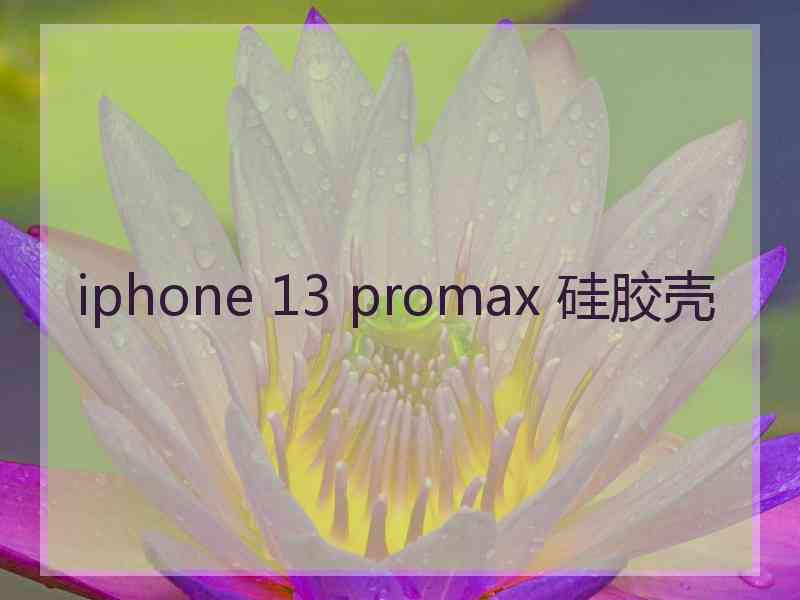 iphone 13 promax 硅胶壳