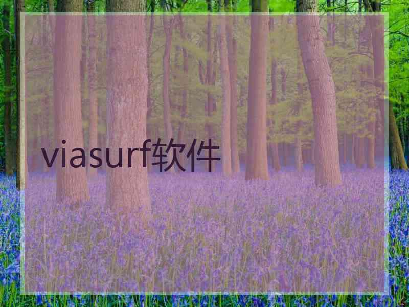 viasurf软件