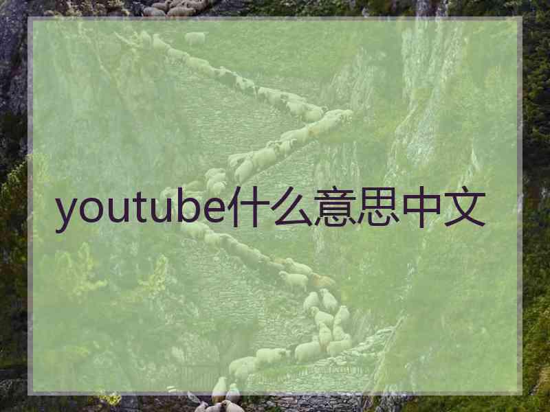 youtube什么意思中文