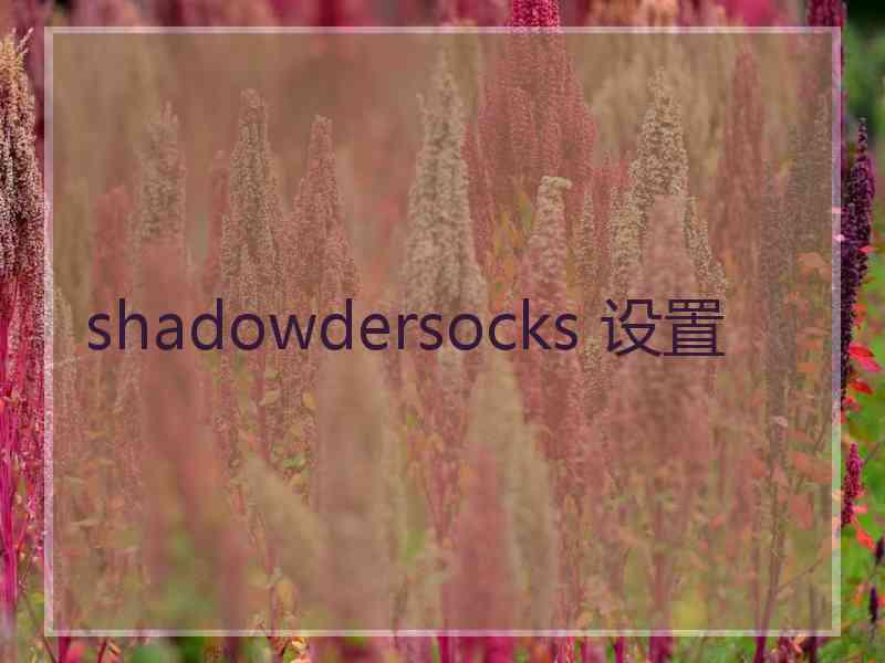 shadowdersocks 设置