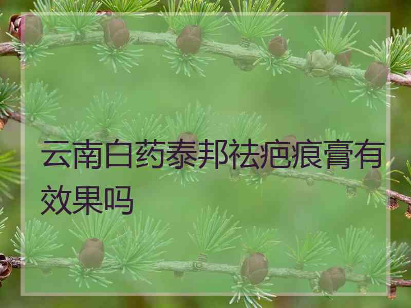 云南白药泰邦祛疤痕膏有效果吗