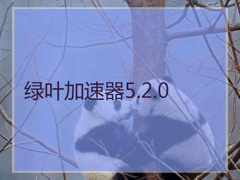 绿叶加速器5.2.0