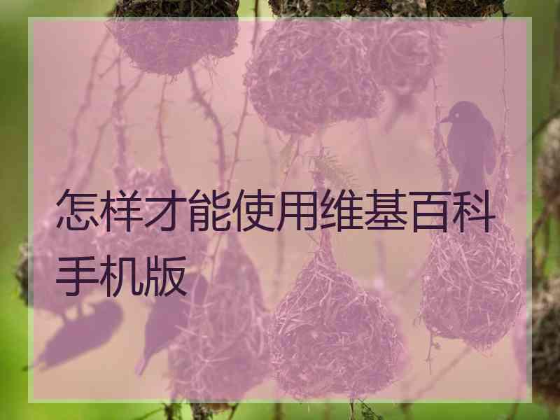 怎样才能使用维基百科手机版