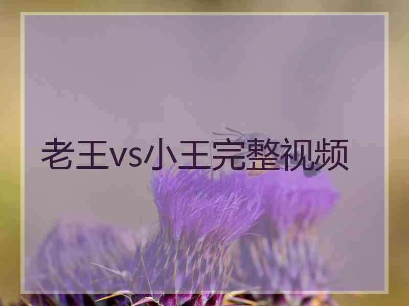 老王vs小王完整视频