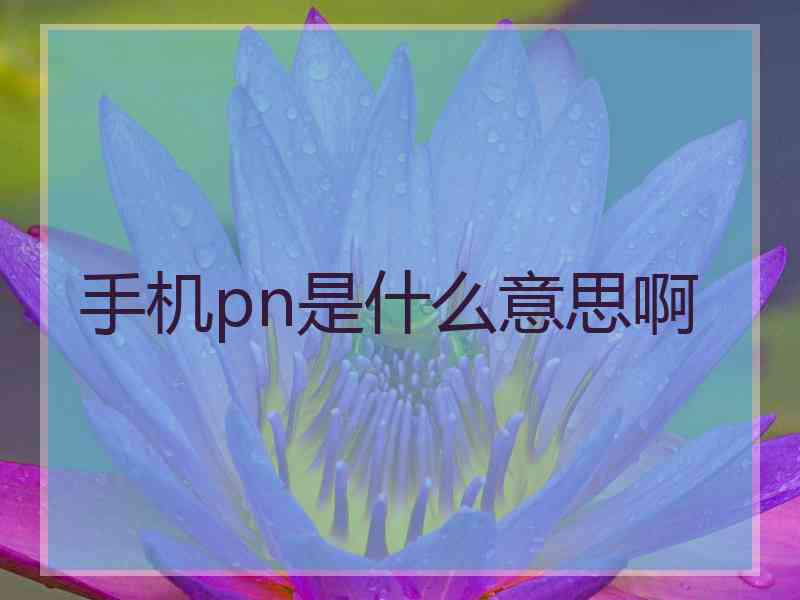 手机pn是什么意思啊