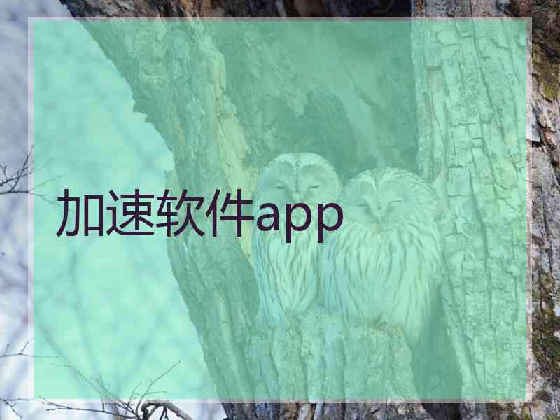 加速软件app