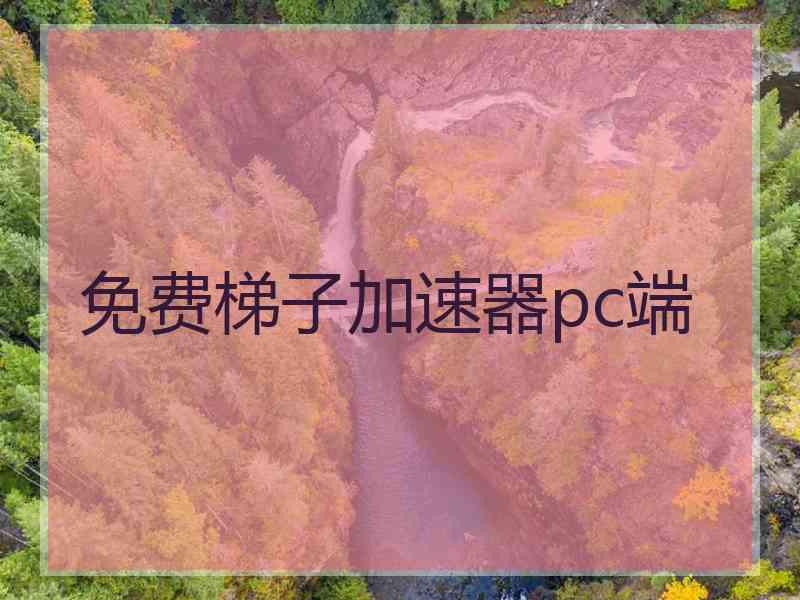 免费梯子加速器pc端