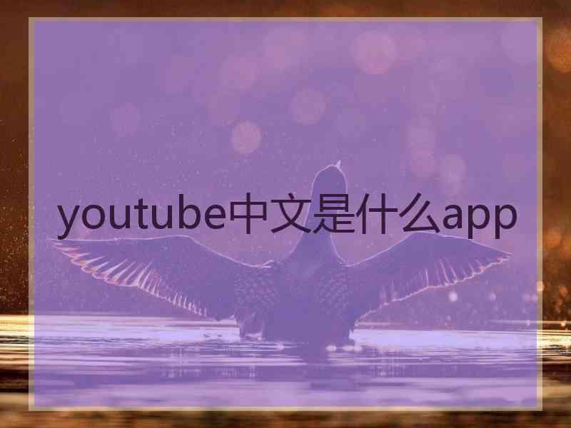 youtube中文是什么app