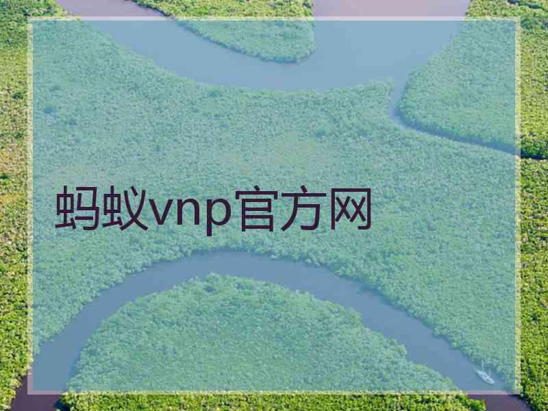 蚂蚁vnp官方网