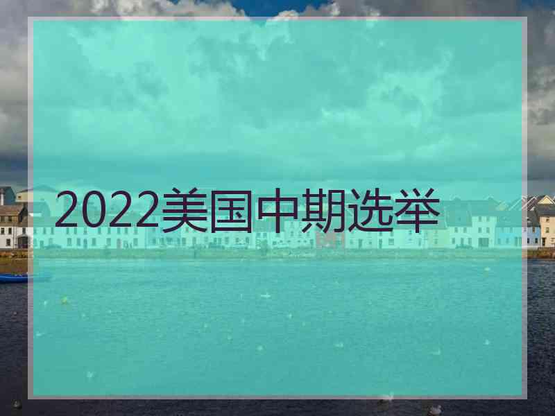 2022美国中期选举