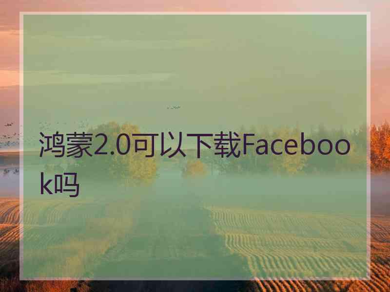 鸿蒙2.0可以下载Facebook吗