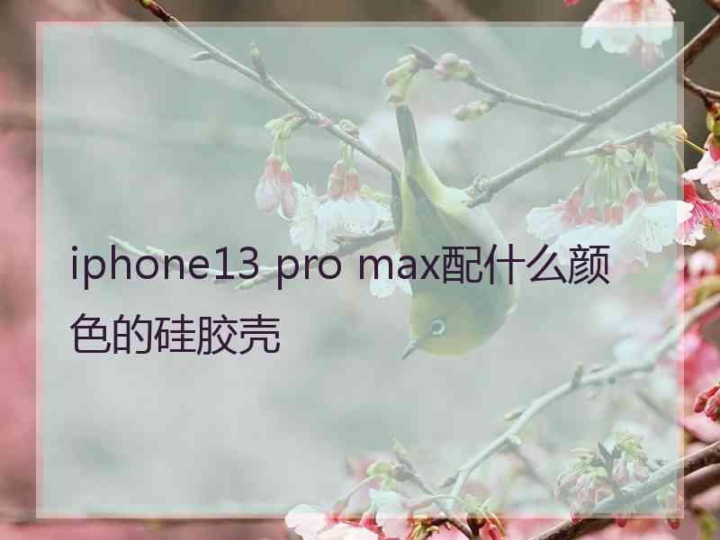 iphone13 pro max配什么颜色的硅胶壳