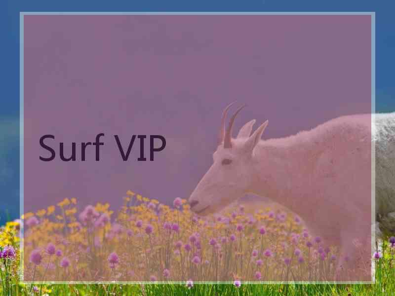 Surf VIP