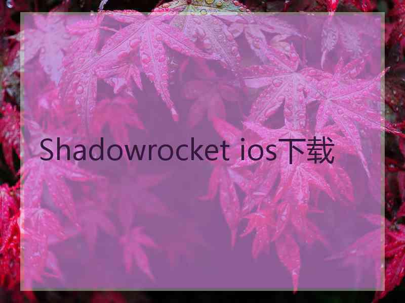 Shadowrocket ios下载