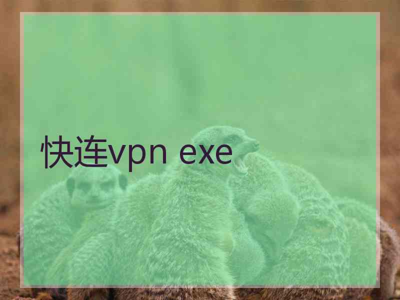 快连vpn exe