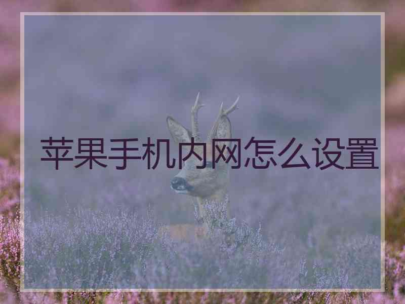 苹果手机内网怎么设置