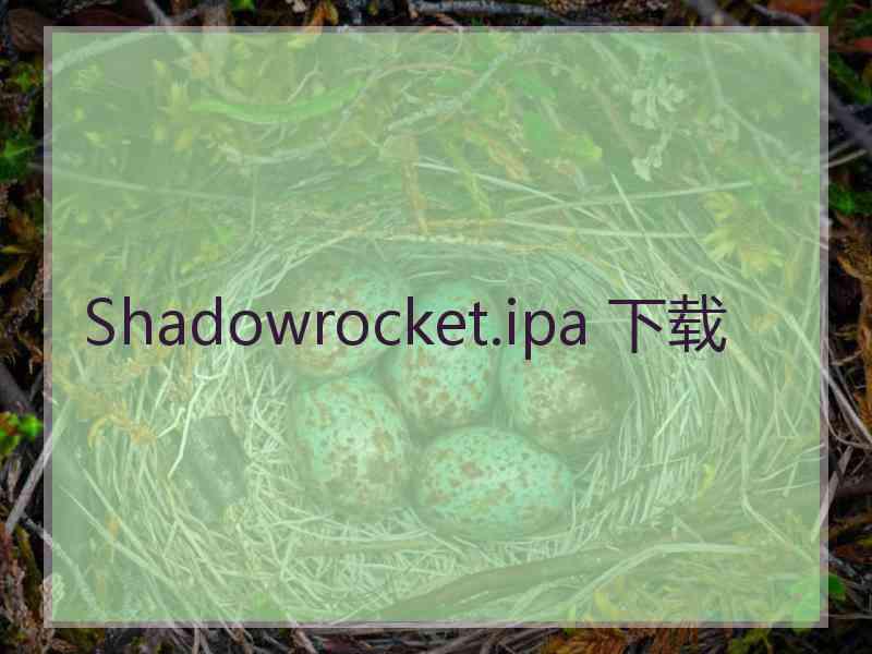 Shadowrocket.ipa 下载