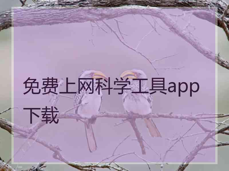 免费上网科学工具app下载