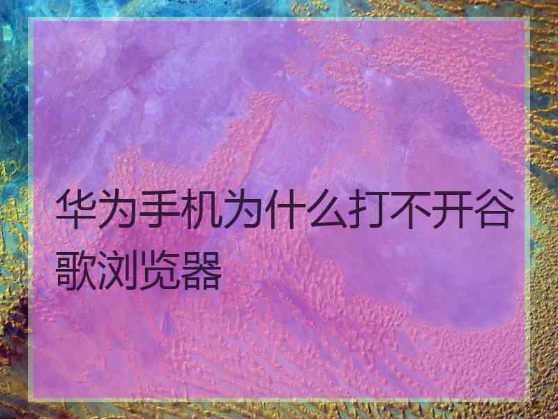 华为手机为什么打不开谷歌浏览器