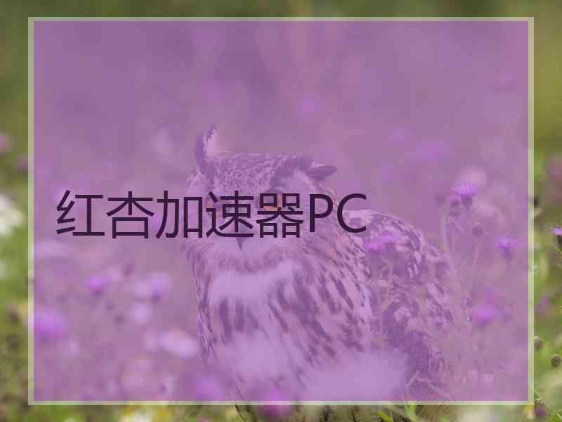 红杏加速器PC