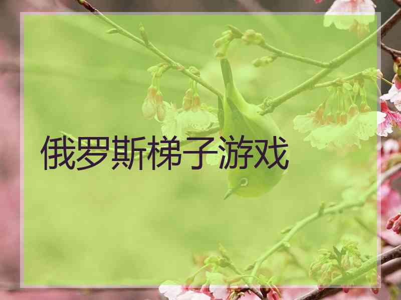 俄罗斯梯子游戏