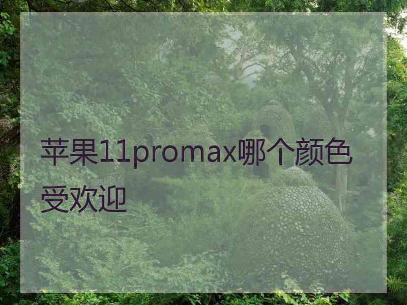 苹果11promax哪个颜色受欢迎