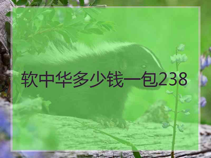 软中华多少钱一包238