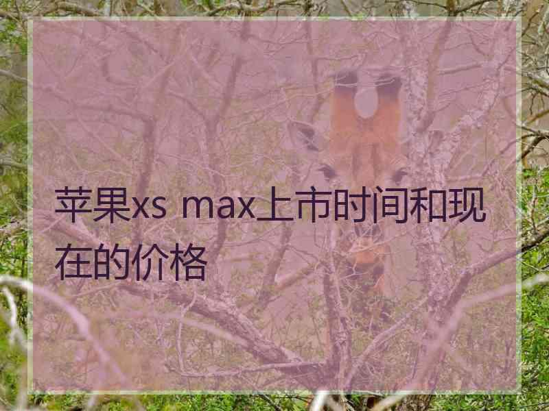 苹果xs max上市时间和现在的价格