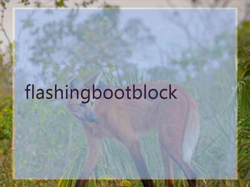 flashingbootblock