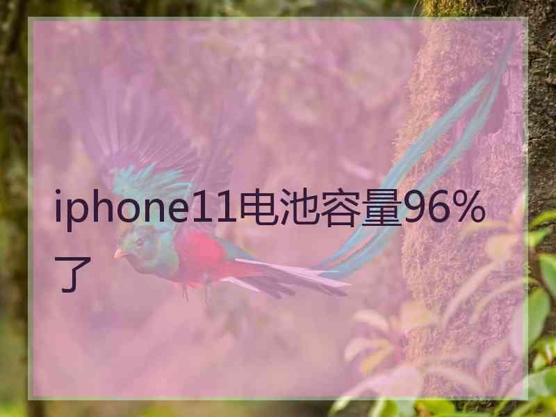 iphone11电池容量96%了