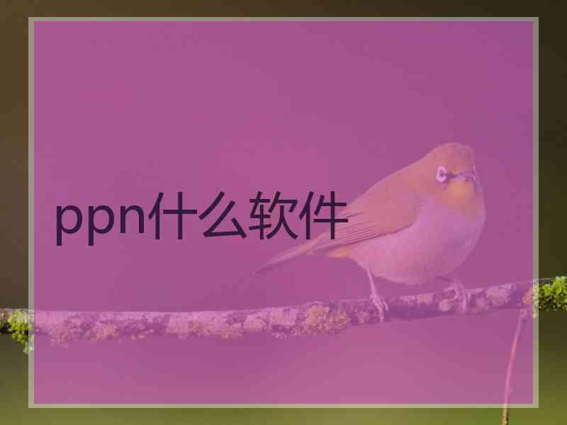 ppn什么软件