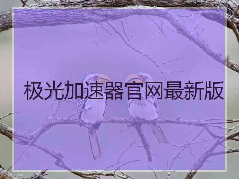 极光加速器官网最新版