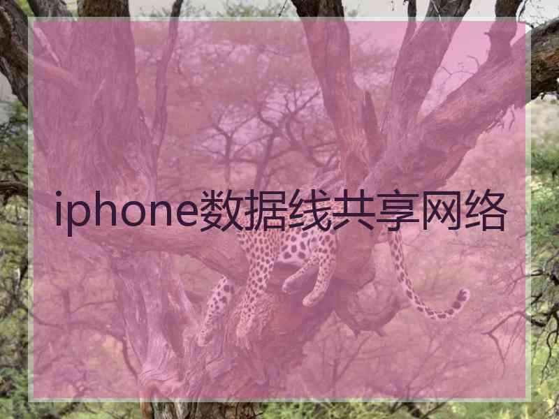 iphone数据线共享网络