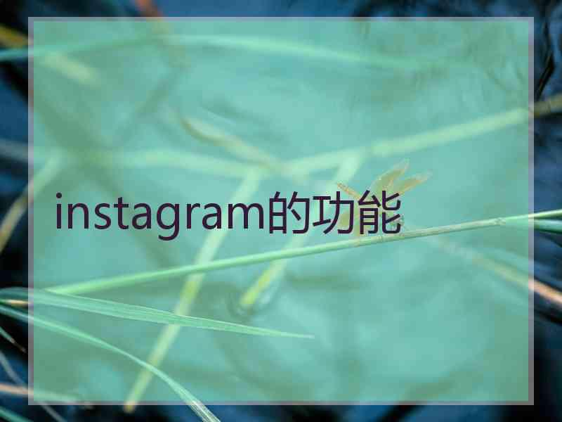 instagram的功能