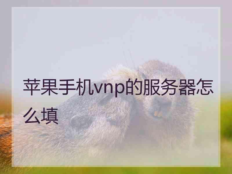 苹果手机vnp的服务器怎么填