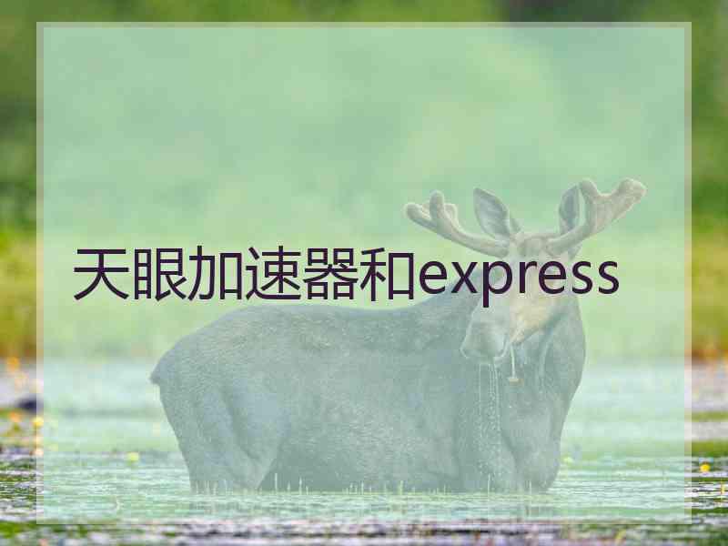 天眼加速器和express