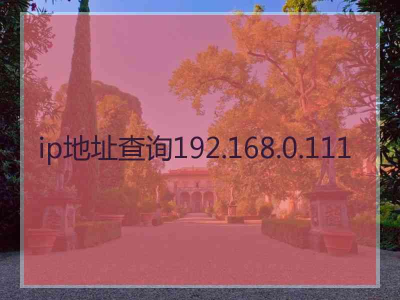 ip地址查询192.168.0.111