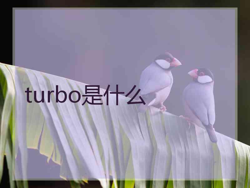 turbo是什么