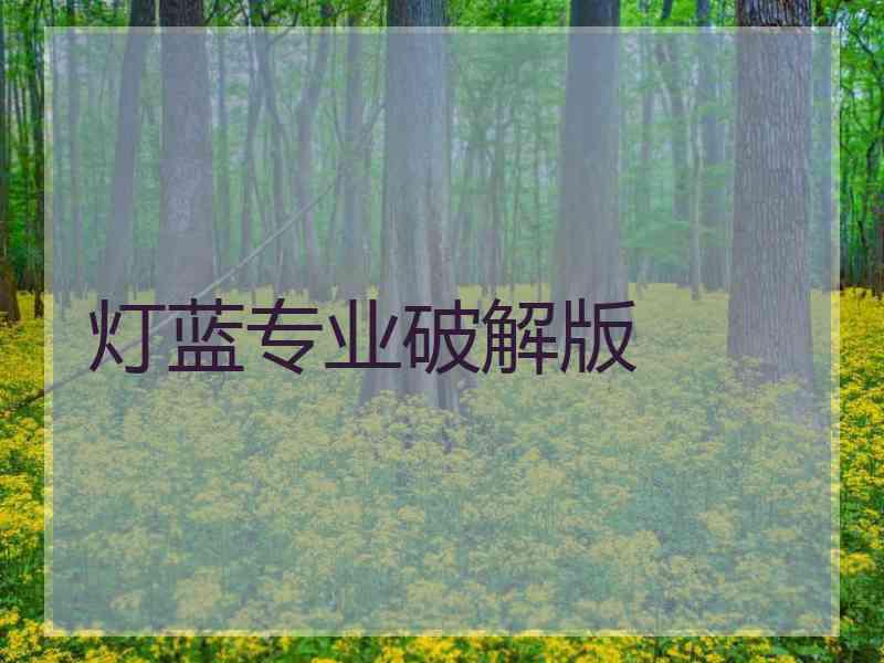 灯蓝专业破解版