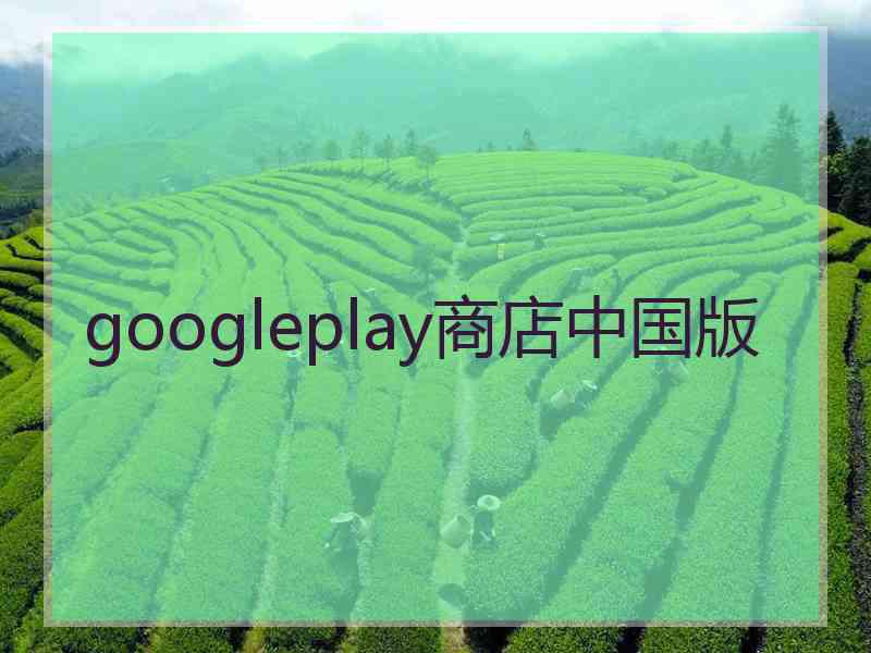 googleplay商店中国版