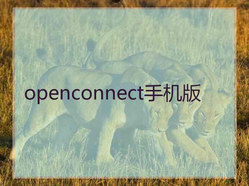 openconnect手机版