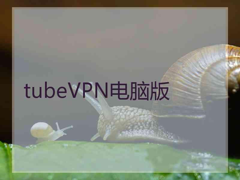 tubeVPN电脑版