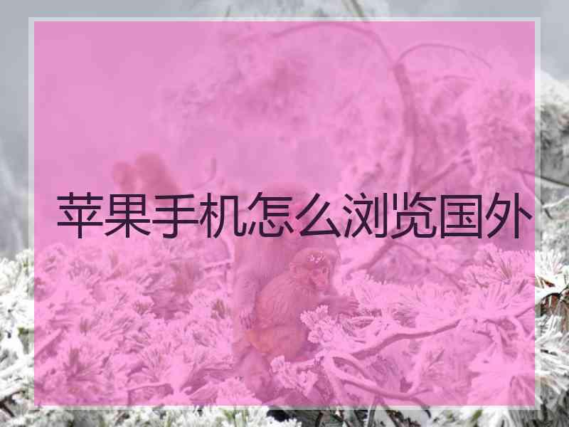 苹果手机怎么浏览国外