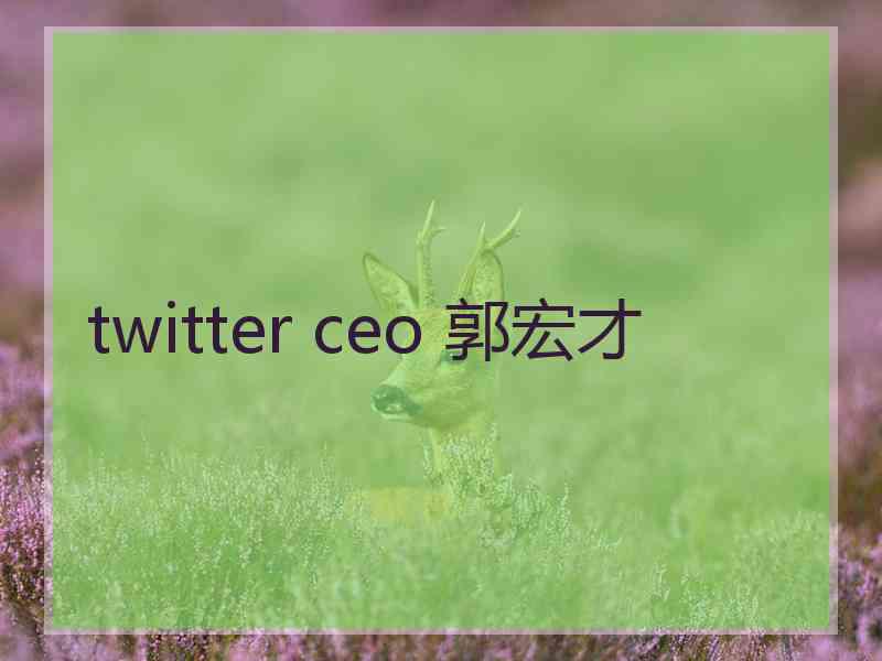 twitter ceo 郭宏才