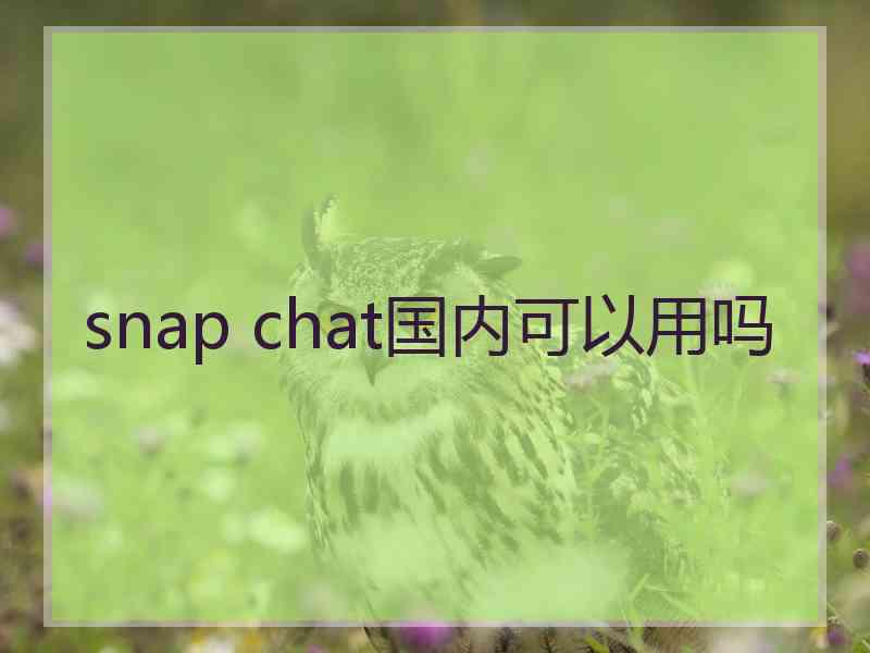 snap chat国内可以用吗