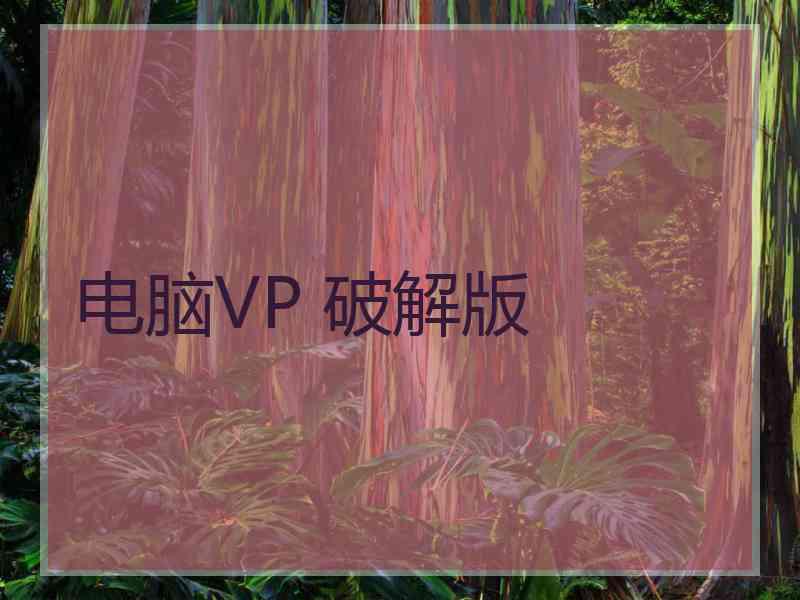 电脑VP 破解版